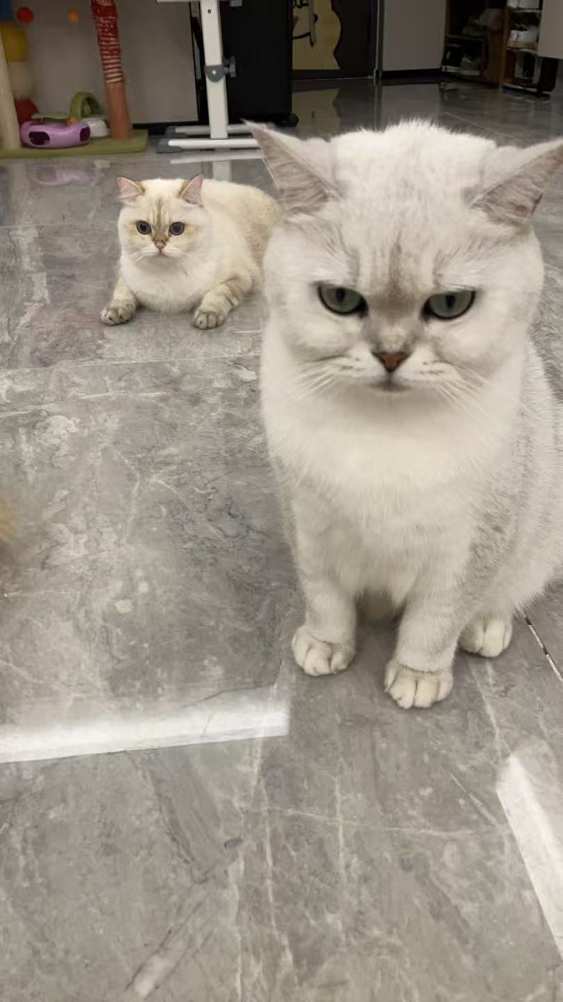 安卓 & 嘎子 的合影